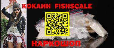 a pvp Новозыбков