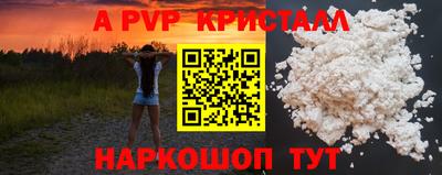a pvp Новозыбков