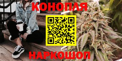амф Новокубанск
