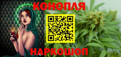 a pvp Новозыбков