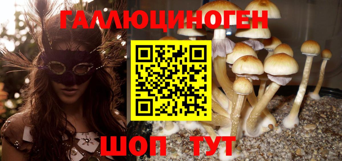 Галлюциногенные грибы Psilocybine cubensis  Вход с VPN  Донской 